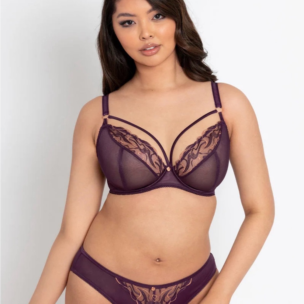 Elegant Purple Lace Bra and Panty Set
